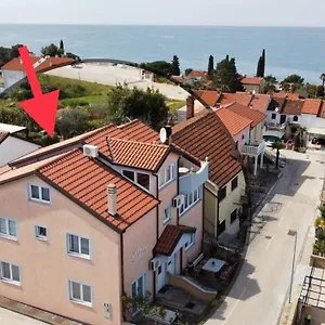 Appartamento Ružica, Dajla